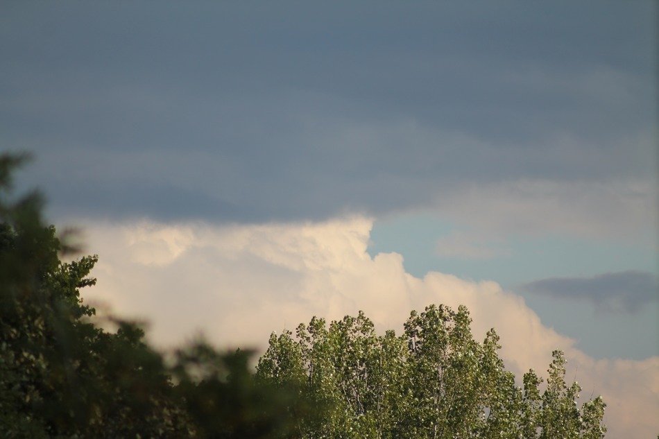 clouds above the trees before the storm