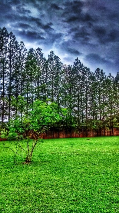 landscape of the nature