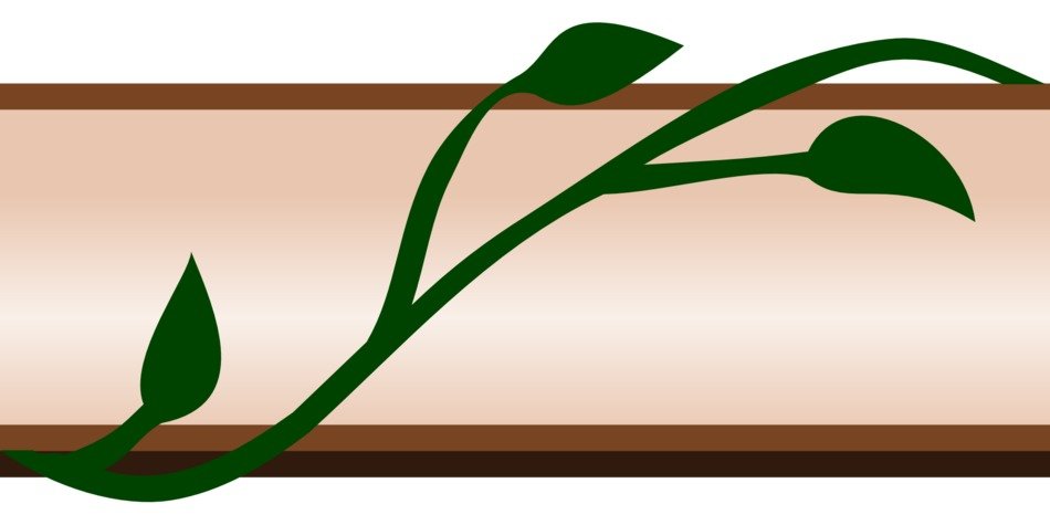 İvy leaves