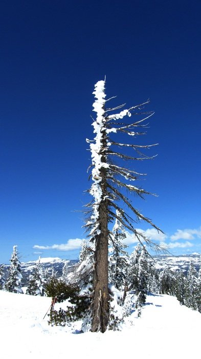 unusually beautiful snow sierra mountains