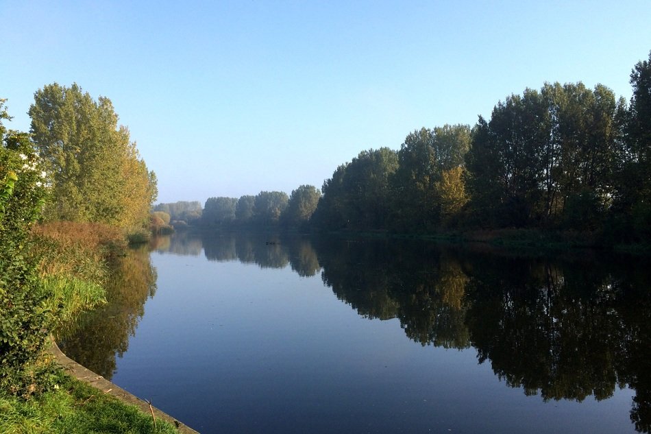 Pond with trees along it