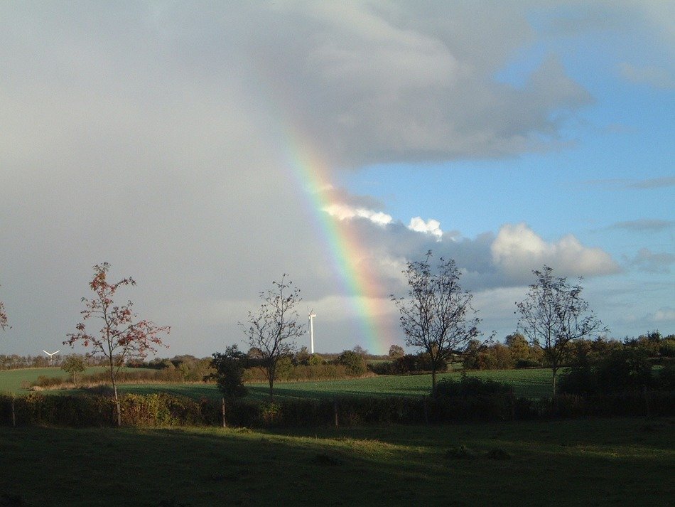 rainbow in autumn