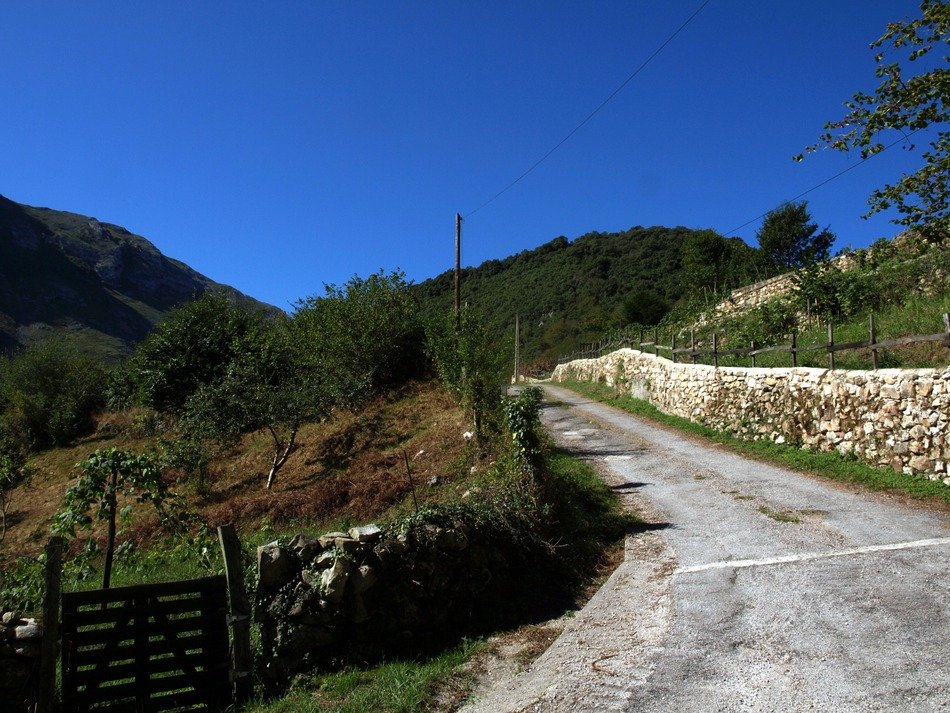The road for a walk in the mountains
