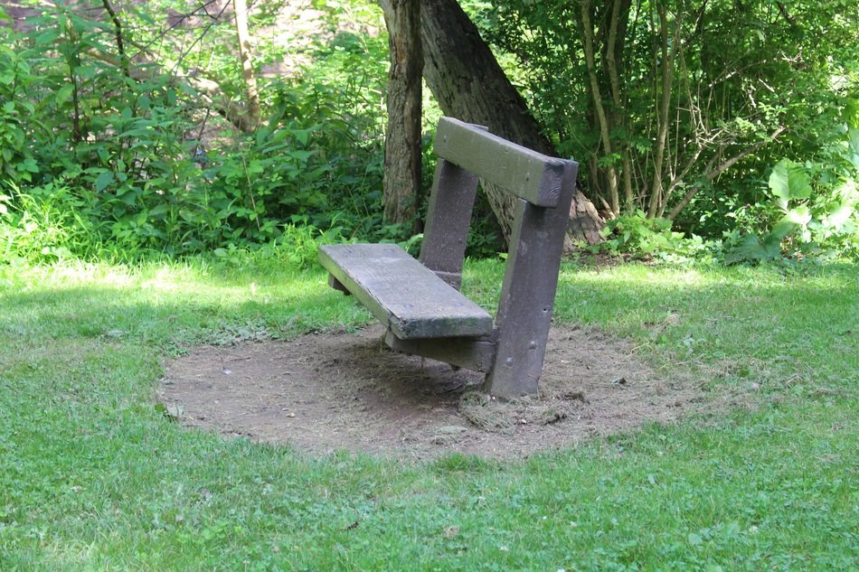 park bench wooden