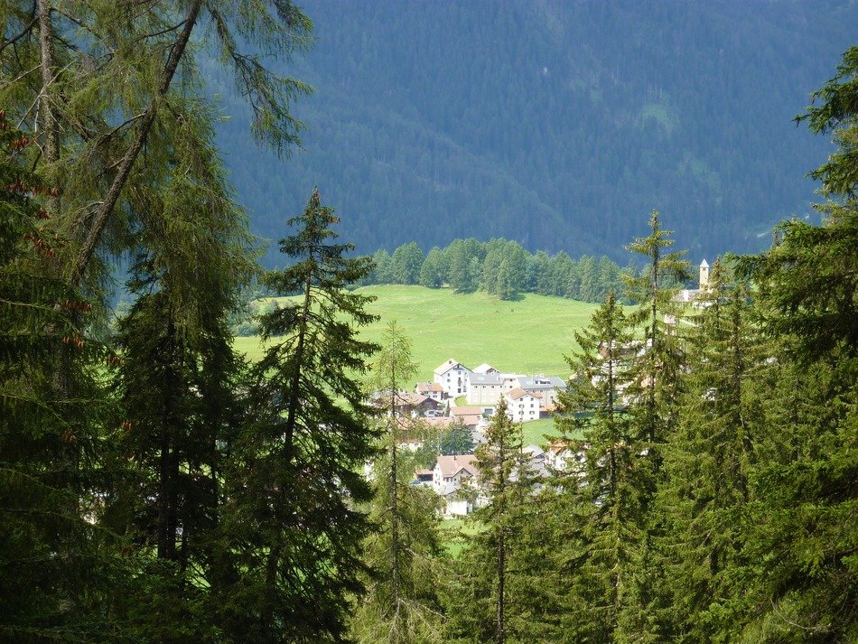 Landscape with the meadow in Switzerland
