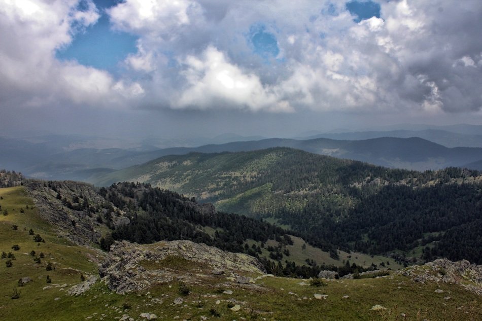 nature in the hills in the spring