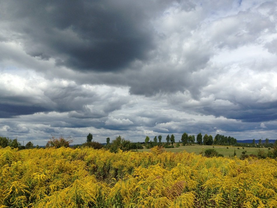 scenic landscape against the backdrop of storm clouds