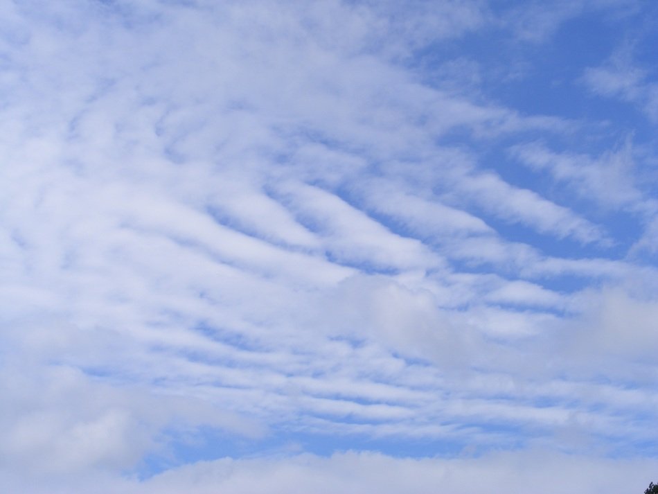 white scattered clouds in the sky