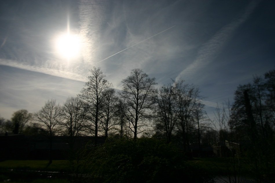 the sun peeking out from behind the clouds on the forest background