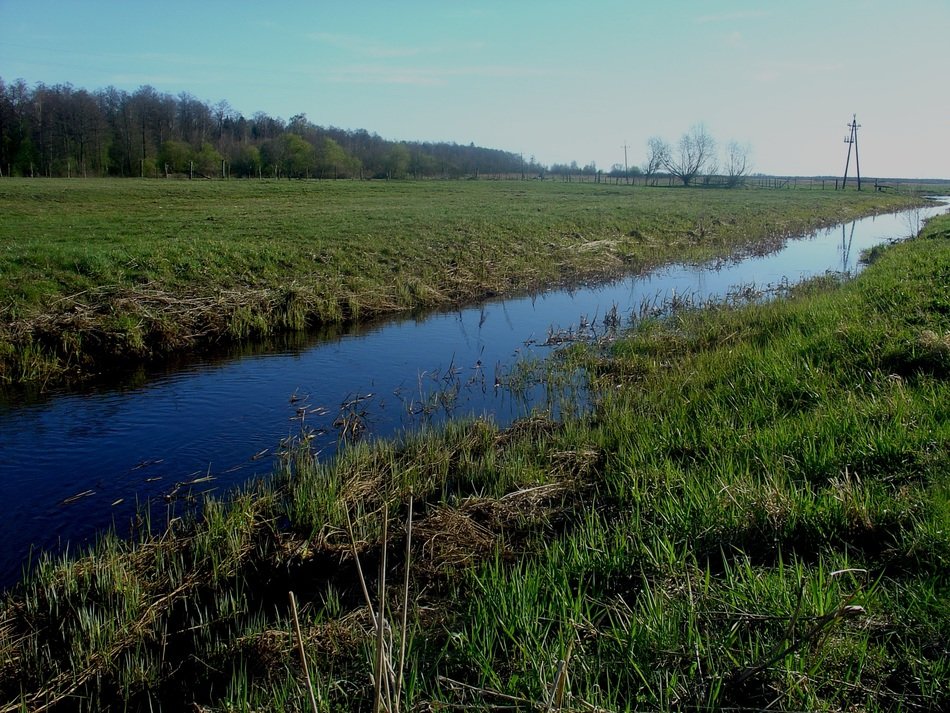cold stream along the field in Poland