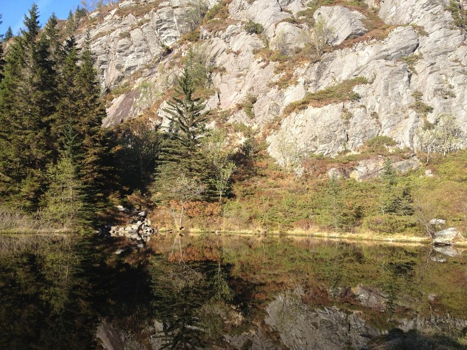 mountains near the lake in summer
