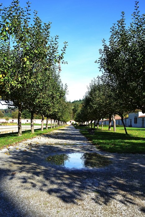 puddles on the alley