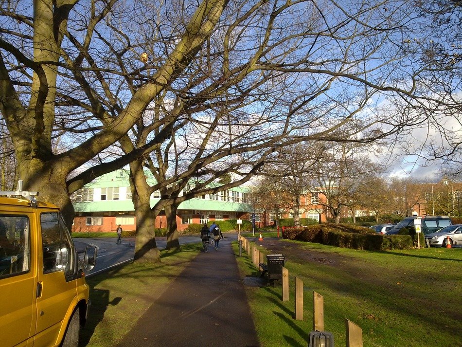 alley between trees in worcester