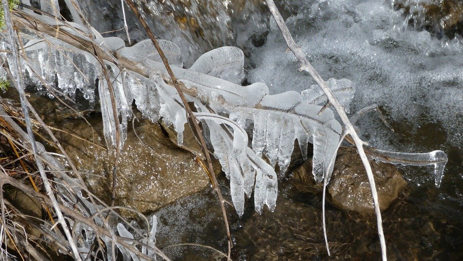 Beautiful ice formations on the branches and rocks in wintry forest