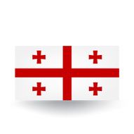 Flag of Georgia N12