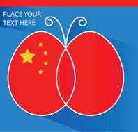 China Flag N16