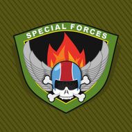 Military Emblem with a skull and the weapon N4