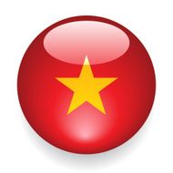World Flag Button Vietnam