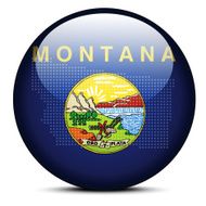 USA Montana State