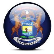 Map on flag button of USA Michigan State