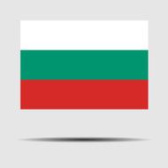 National Flag of Bulgaria N2