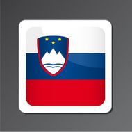 Slovenia Flag Icon N2