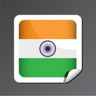 India Flag Icon N4