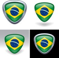 Brazilian Flag Crest