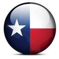 flag button of USA Texas State