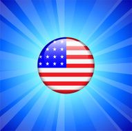 United States Flag Icon on Internet Button