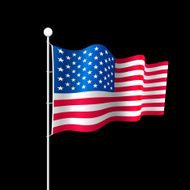 American Flag N139