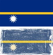 Nauru grunge flag Vector illustration
