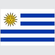 National flag of Uruguay