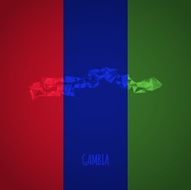 Low Poly Gambia with National Colors