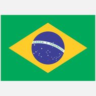 National Flag of Brazil N3