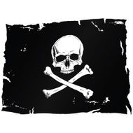 Pirate flag with skull N2