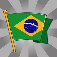 Flag of Brazil N13