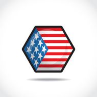 USA Flag N48