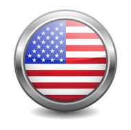 USA flag vector button