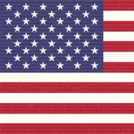 USA America Flag