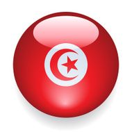 World Flag Button Tunisia