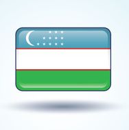 Flag of Uzbekistan vector illustration N8