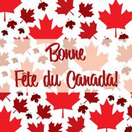 Happy Canada Day card in vector format N29