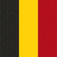 Belgium Flag N10