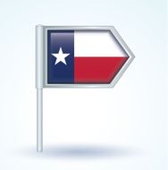 Flag of Texas vector illustration N2
