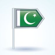 Flag of Pakistan vector illustration N2
