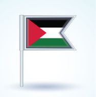 Flag of Palestine vector illustration N3