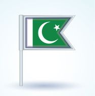 Flag of Pakistan vector illustration N3