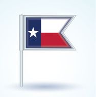Flag of Texas vector illustration N3