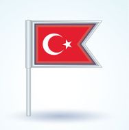 Flag of Turkey vector illustration N2